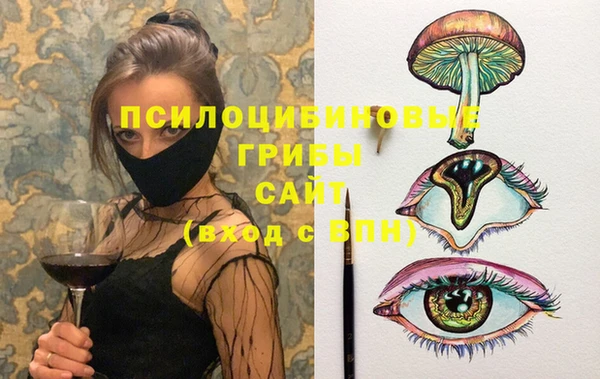 круглые Абаза