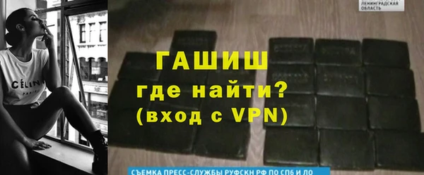 спайс Щигры