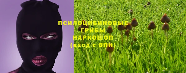 гидропоника Покачи