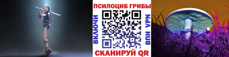 Псилоцибиновые грибы Psilocybe кракен онион Хилок